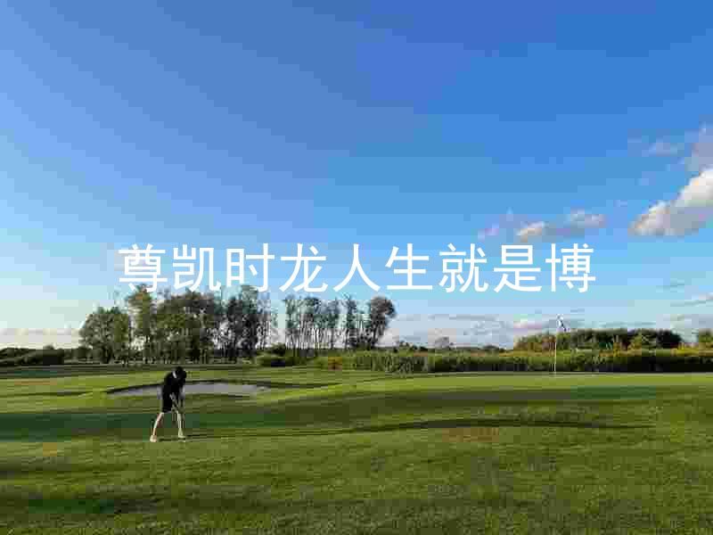 尊凯时龙人生就是博