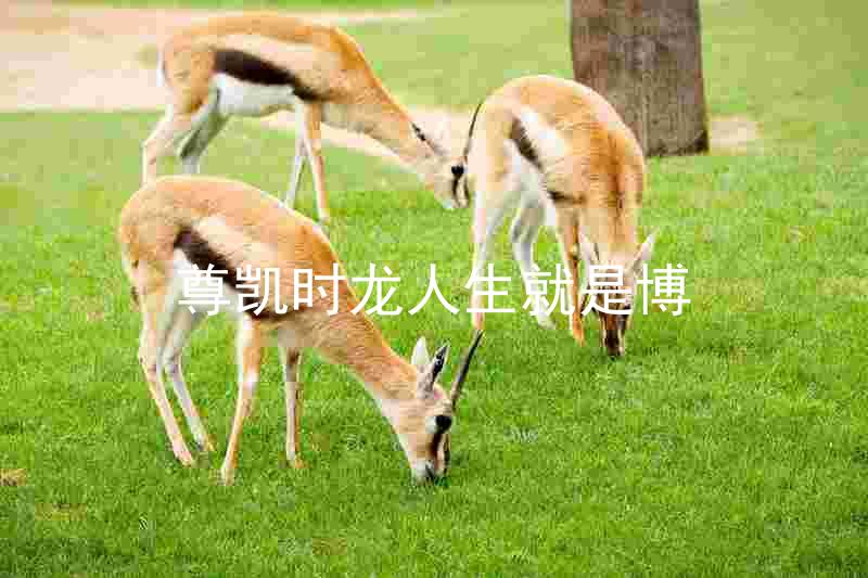 尊凯时龙人生就是博