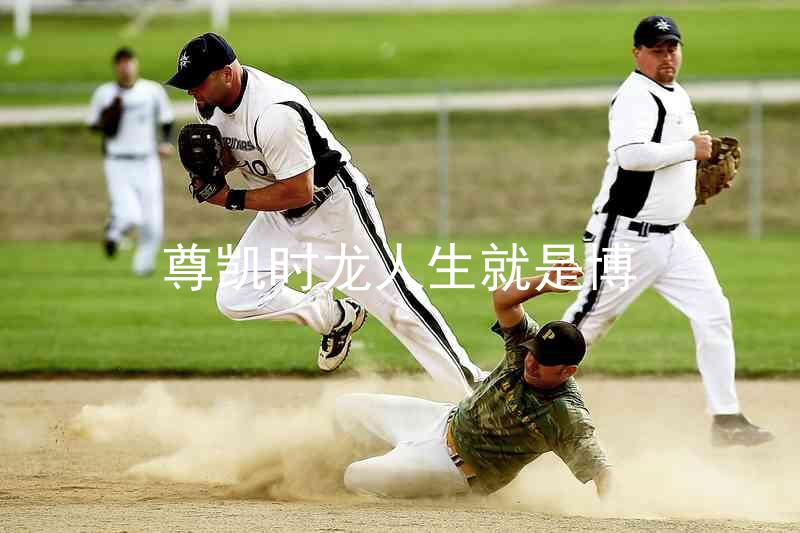 尊凯时龙人生就是博